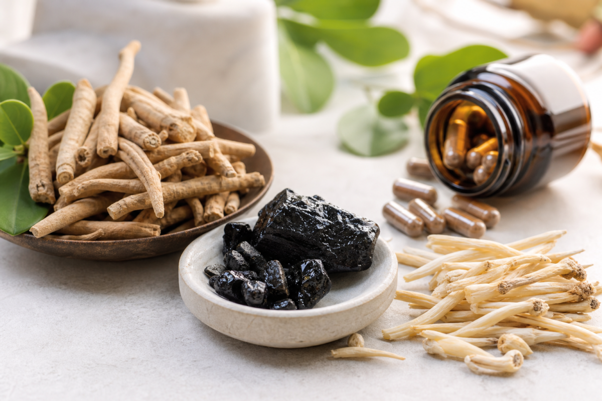 Ashwagandha roots, shilajit resin and herbal capsules