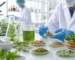 Herbal medicine quality testing in a GMP lab