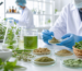 Herbal medicine quality testing in a GMP lab