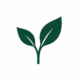 Herbal leaf emblem